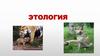 Этология