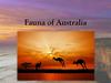 Fauna of Australia