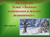 Зимние изменения в жизни животных