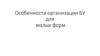 Особенности органищации БУ для малых форм