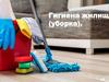 Гигиена жилища (уборка)