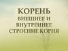 Корень. Внешнее и внутреннее строение корня