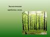 Экологические проблемы лесов
