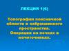 Топография поясничной области и забрюшинного пространства. Операции на почках и мочеточниках
