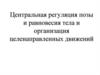 Центральная регуляция позы и равновесия тела