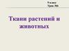 Ткани растений и животных. 9 класс