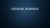 Unusual schools