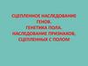 Сцепленное наследование генов. Генетика пола. Наследование признаков, сцепленных с полом