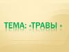 Травы