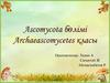 Ascomycota бөлімі. Archaeascomycetes класы