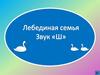 Лебединая семья. Звук Ш
