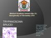 Trypanosoma Brucei