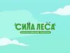 Сила леса. Анимированная игра для 1-4 классов