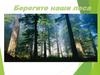 Берегите наши леса
