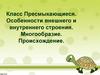 Класс Пресмыкающиеся. Особенности внешнего и внутреннего строения. Многообразие. Происхождение