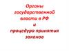 Органы государственной власти в РФ