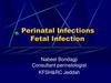 Perinatal Infections Fetal Infection