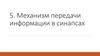 Механизм передачи информации в синапсах