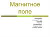 Магнитное поле