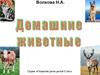 Домашние животные. Игра для детей 5-7 лет