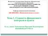 Сущность финансового контроля и аудита