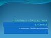 Налогово-бюджетная система и налогово-бюджетная политика