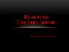 Культура Средних веков. Тема 2