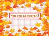 Что это за листья?