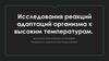 Исследования реакций адаптаций организма к высоким температурам
