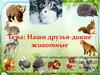Наши друзья - дикие животные