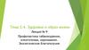 Здоровье и образ жизни. Лекция № 9. Профилактика табакокурения, алкоголизма, наркомании. Экологическое благополучие
