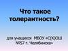 Что такое толерантность?