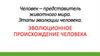 Эволюционное происхождение человека. Этапы эволюции человека
