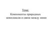 Компоненты природных комплексов и связи между ними