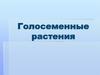 Голосеменные растения