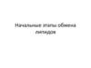 Начальные этапы обмена липидов