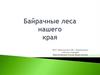Байрачные леса нашего края