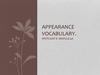 Appearance vocabulary
