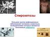 Сифилис. Спирохетозы