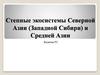 Степные экосистемы Северной Азии (Западной Сибири) и Средней Азии