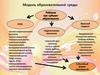 Модель образовательной среды