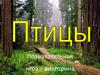 Познавательная игра-викторина "Птицы"