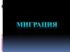 Миграция населения