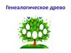 Генеалогия как наука. Что такое генеалогическое древо