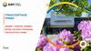 Транспортное право. Лекция 1. Понятие, предмет, метод, система и принципы транспортного права