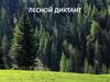 Лесной диктант