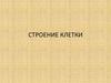Строение клетки