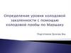 Определение уровня холодовой закаленности с помощью холодной пробы по Маршаку