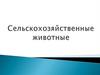 Сельскохозяйственные животные