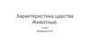 Характеристика царства Животные. 5 класс